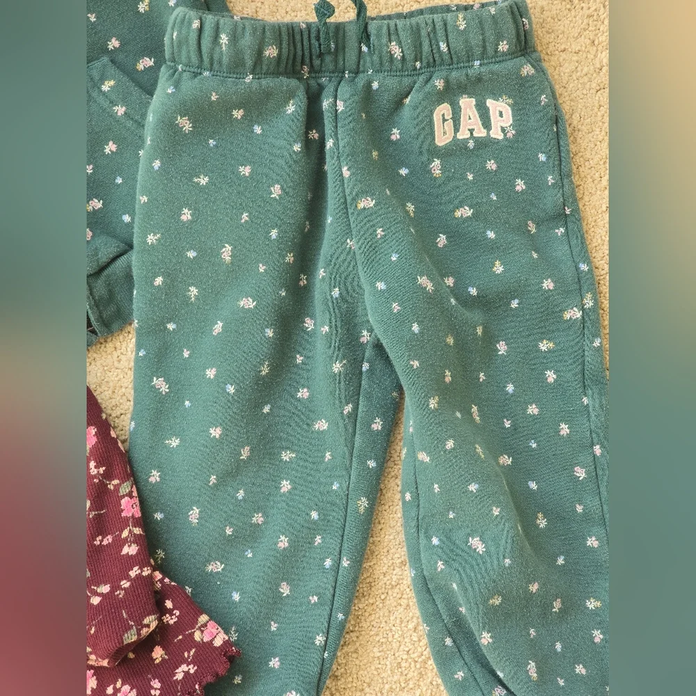 babyGap Logo Zip Hoodie and Pants Set with Floral Long Sleeve Top